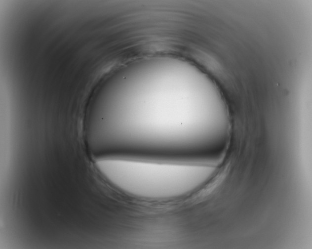 X0000097000881200802081026