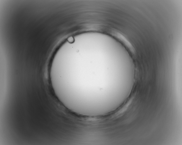 X0000097000883200802081026