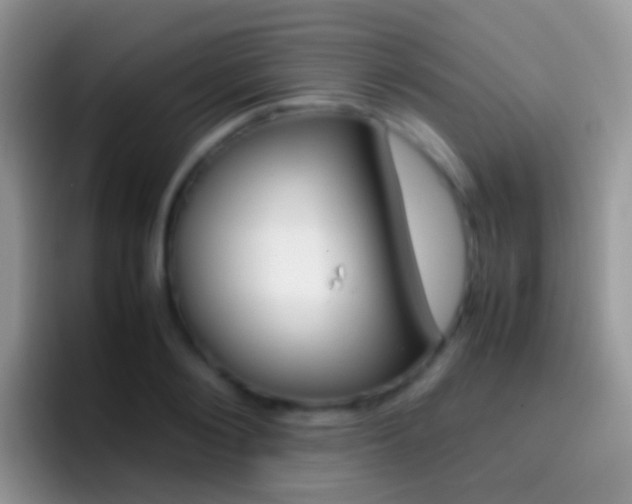 X0000097000884200802081026