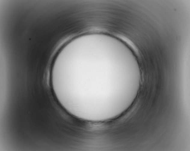 X0000097000886200802081026