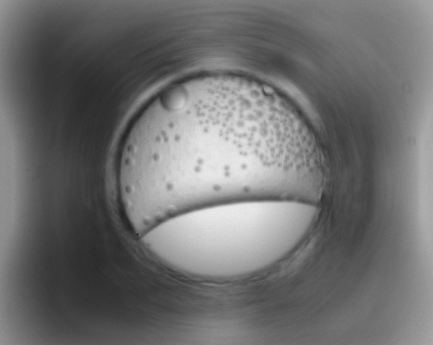 X0000097000887200802081026