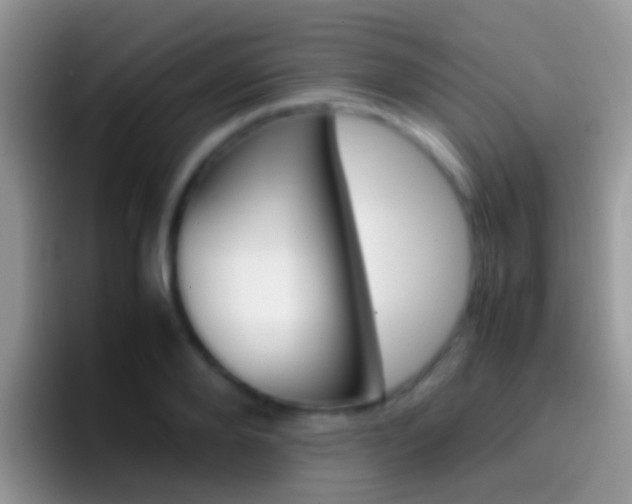 X0000097000888200802081026