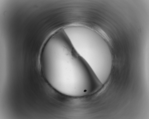 X0000097000892200802081026