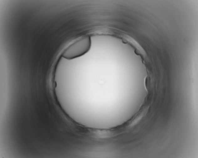 X0000097000893200802081026