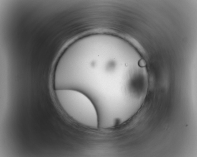 X0000097000895200802081026