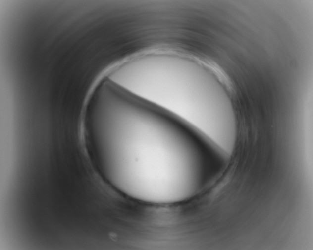 X0000097000896200802081026