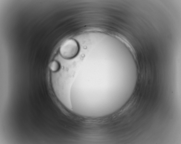 X0000097000898200802081026