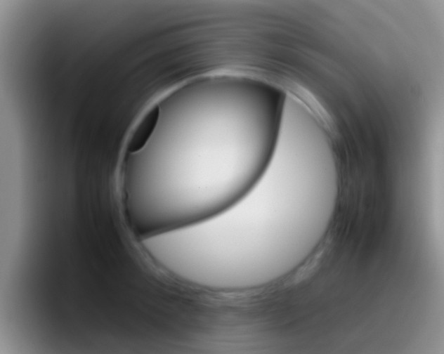 X0000097000900200802081026