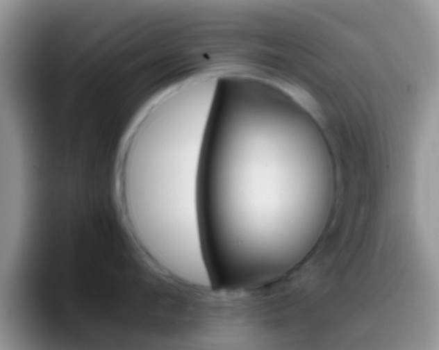 X0000097000912200802081025