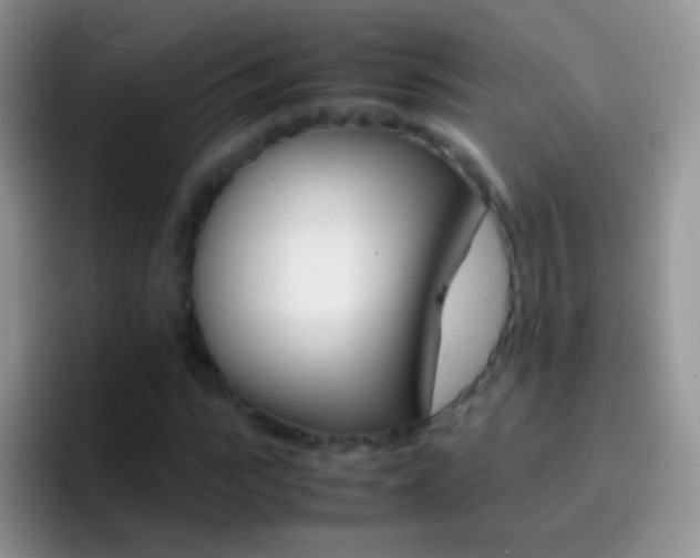 X0000097000919200802081025
