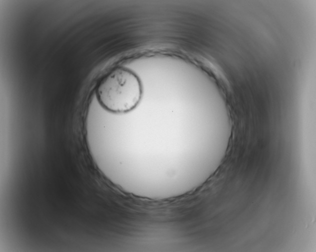 X0000097000920200802081025