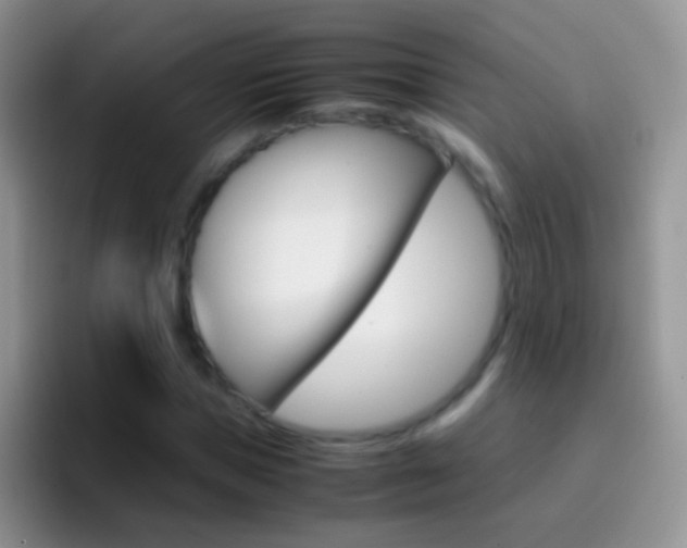 X0000097000921200802081025