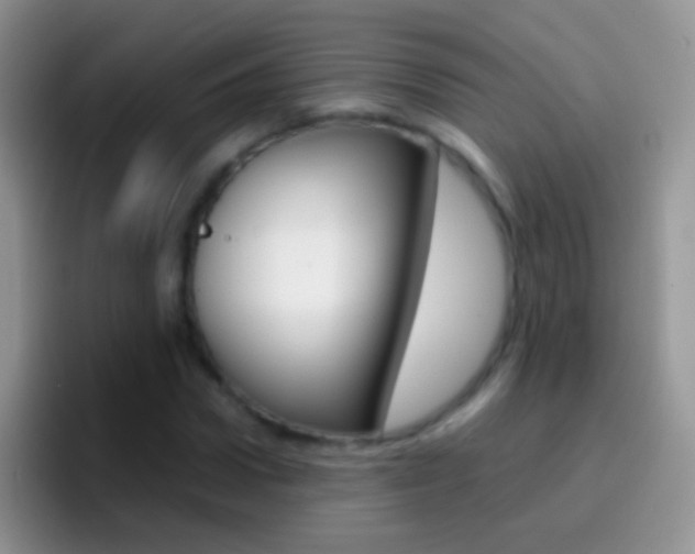 X0000097000922200802081025