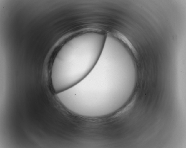 X0000097000923200802081025