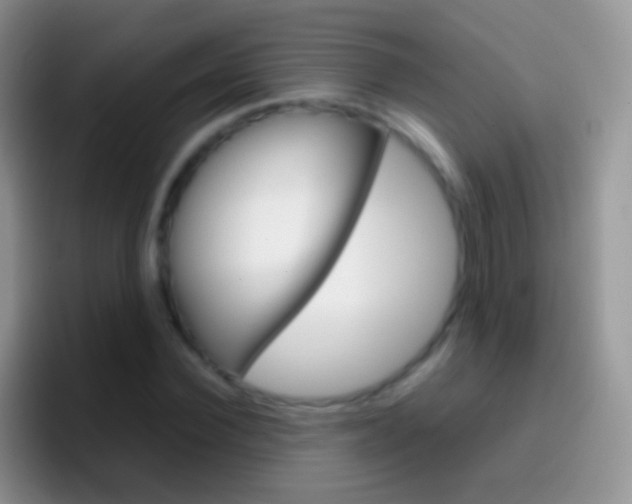 X0000097000924200802081025