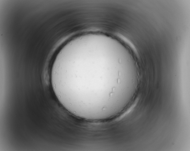 X0000097000925200802081025