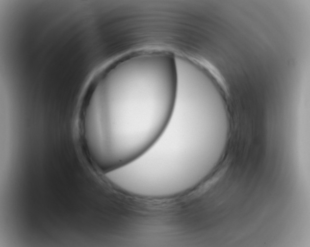 X0000097000928200802081025