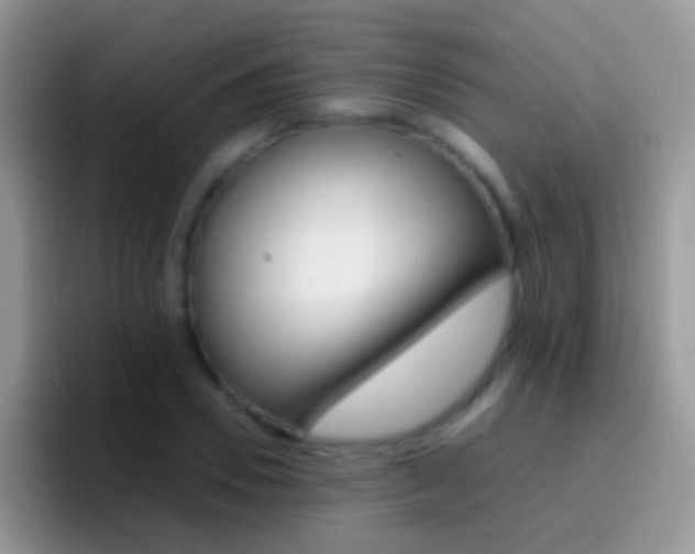 X0000097000930200802081025
