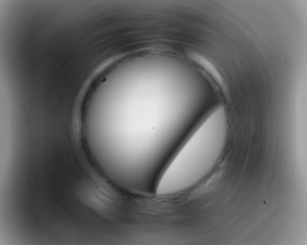 X0000097000931200802081025