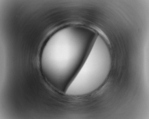X0000097000935200802081025