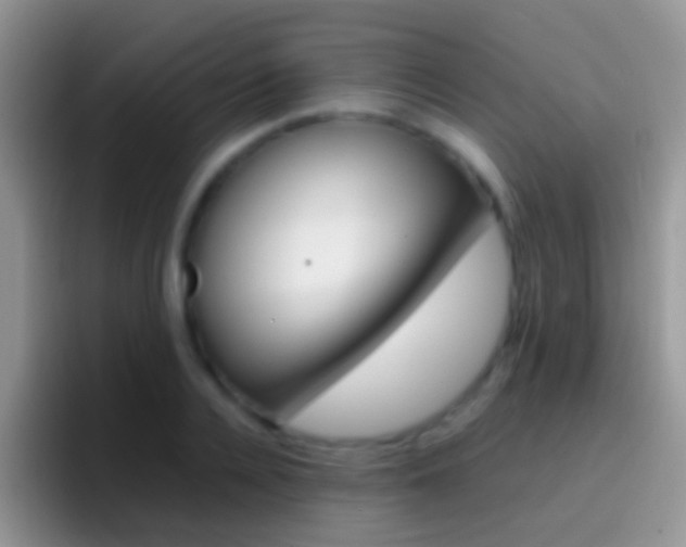 X0000097000936200802081025