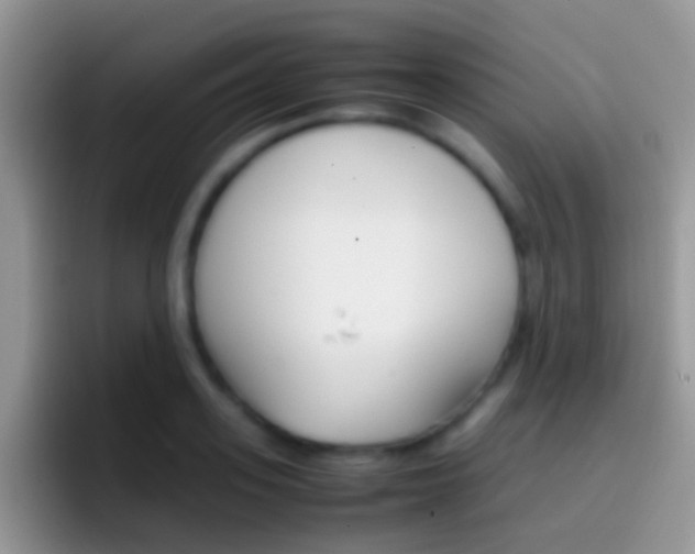 X0000097000939200802081025