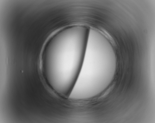 X0000097000940200802081025