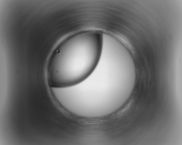 X0000097000942200802081025