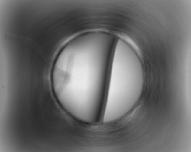 X0000097000943200802081025
