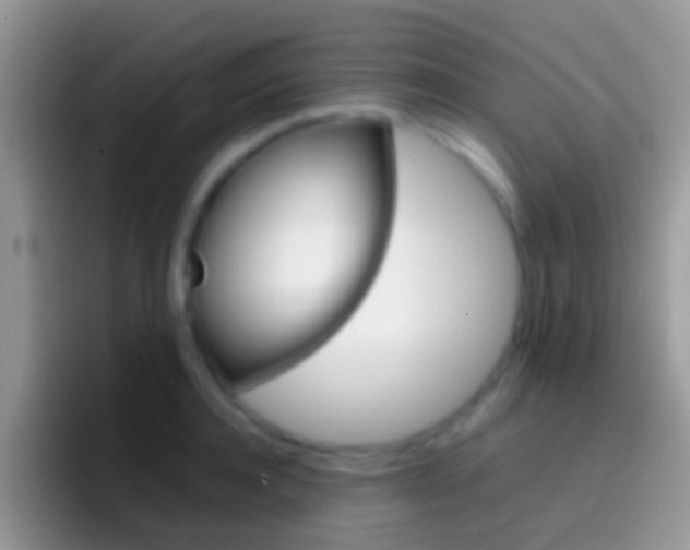 X0000097000944200802081025
