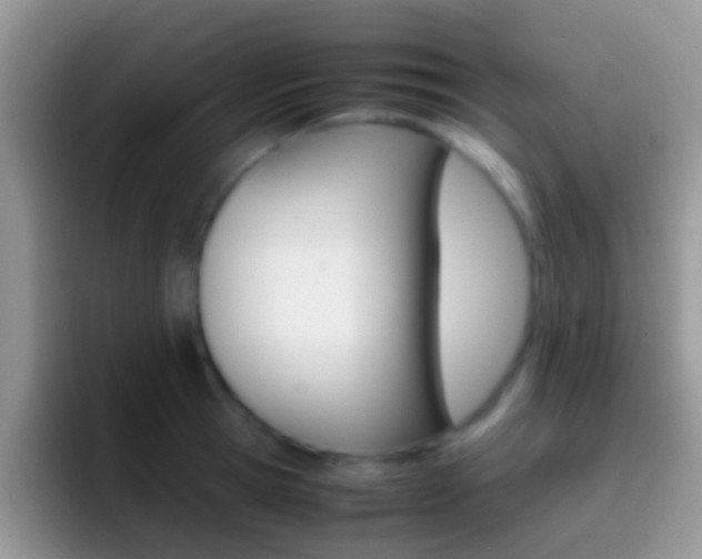 X0000097000945200802081025