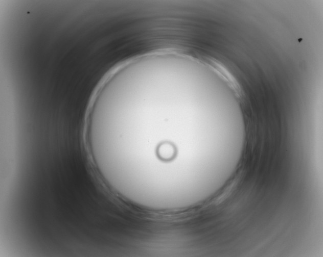 X0000097000948200802081025