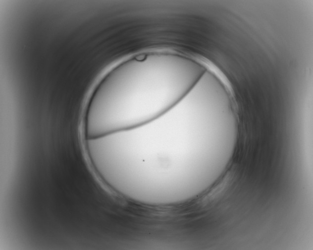 X0000097000951200802081025