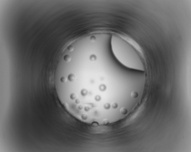 X0000097000953200802081025