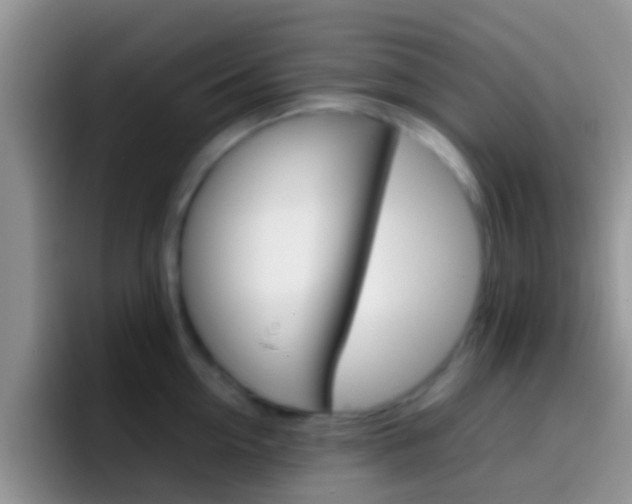 X0000097000954200802081025