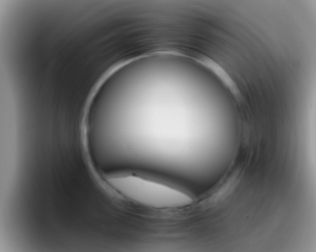 X0000097000955200802081025