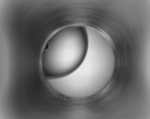 X0000097000956200802081025