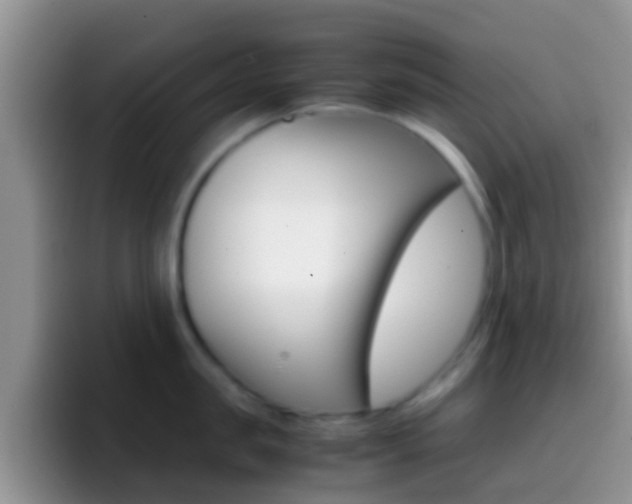 X0000097000957200802081025