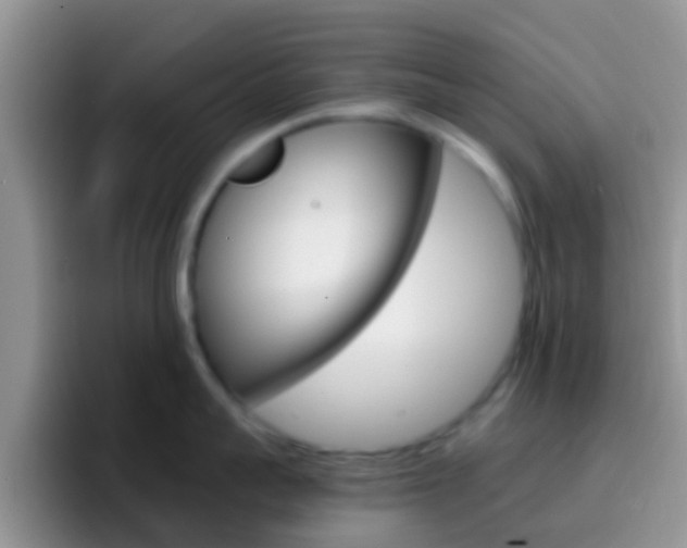 X0000097000959200802081025