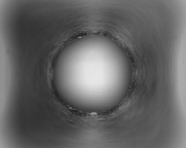 X0000097000961200802081025