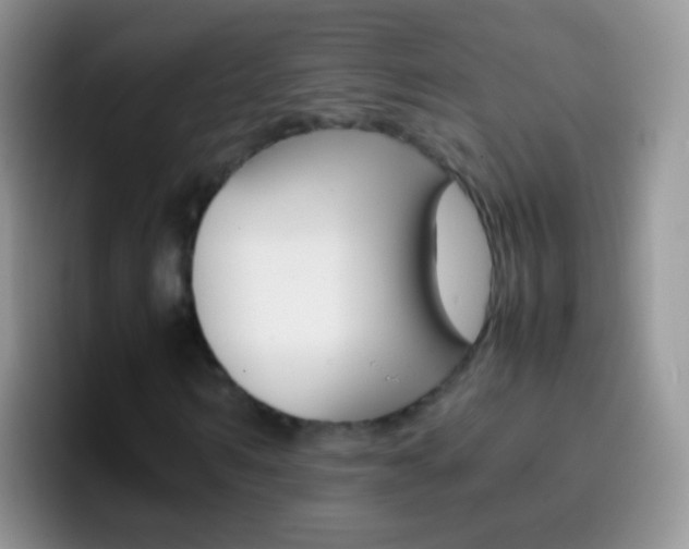 X0000097000962200802081025