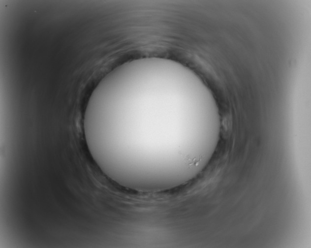 X0000097000963200802081025