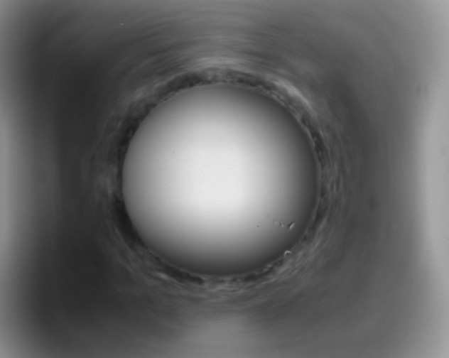 X0000097000965200802081025