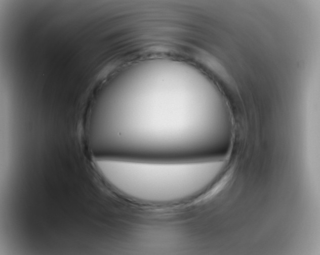 X0000097000969200802081025