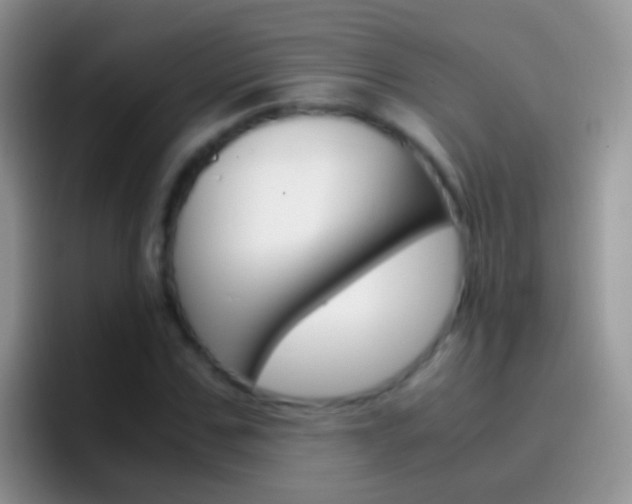X0000097000971200802081025