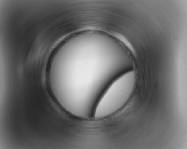 X0000097000972200802081025