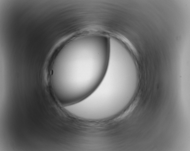 X0000097000973200802081025
