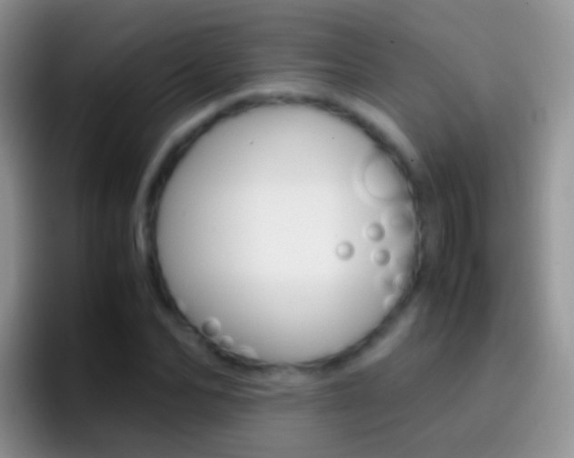 X0000097000974200802081025