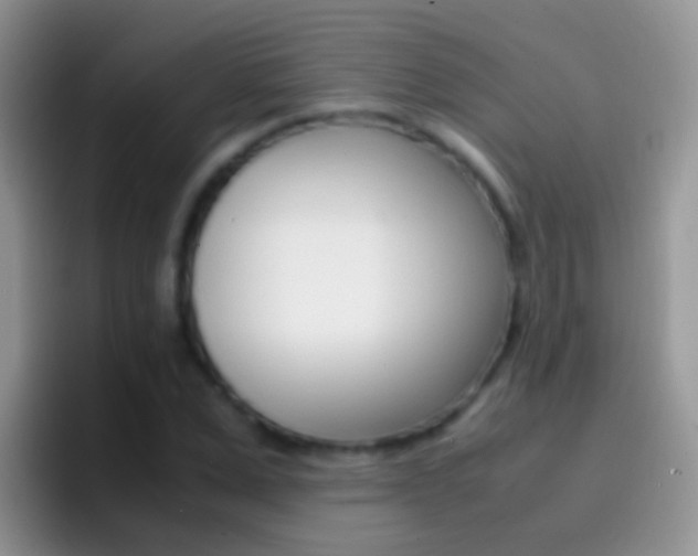 X0000097000975200802081025