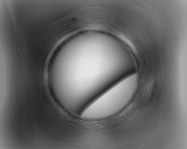 X0000097000976200802081025